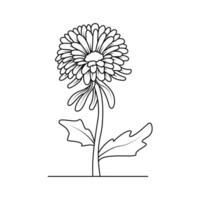 le illustration de chrysanthèmes fleur vecteur