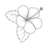 le illustration de hibiscus fleur vecteur