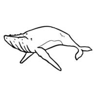 baleine icône. main tiré vecteur illustration. grand mer mammifère