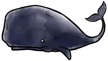 main tiré aquarelle style baleine vecteur illustration.