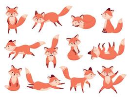 mignonne Renard. dessin animé rouge forêt animaux avec divers émotions, marrant rusé carnivore prédateurs dans différent pose faune zoo concept. vecteur plat ensemble