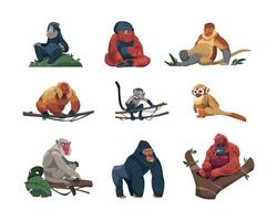 singe espèces. mignonne tropical singes plat dessin animé style, coloré marrant faune jungle les primates, zoo exotique animaux dans différent pose. vecteur isolé ensemble
