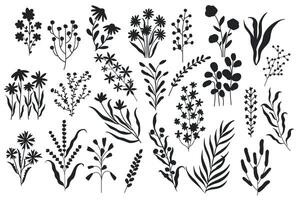 sauvage fleurs silhouette. minimaliste floral botanique éléments, la nature épanouissement botanique fleurs monochrome brosse dessins. vecteur isolé ensemble