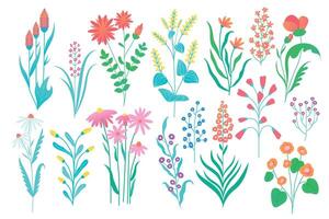 champ fleurs collection. été et l'automne flore, dessin animé floral jardin abstrait image avec fleurs arbustes et les plantes. vecteur isolé ensemble