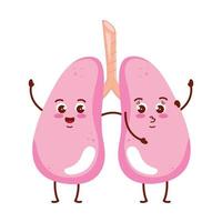 organes mignons poumons vecteur