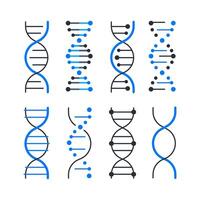 ensemble médical spirale génétique ADN. génétique concept. molécule, chromosome. vecteur illustration