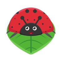 illustration de coccinelle vecteur