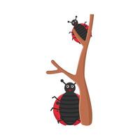 illustration de coccinelle vecteur