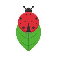 illustration de coccinelle vecteur