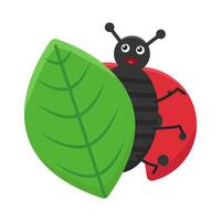 illustration de coccinelle vecteur