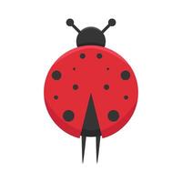 illustration de coccinelle vecteur