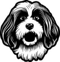 havanais - noir et blanc isolé icône - vecteur illustration