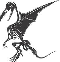 ai généré silhouette dinosaure ptérodactyle squelette noir Couleur seulement vecteur