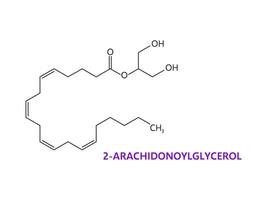 neurotransmetteur 2-arachidonoylglycérol formule vecteur