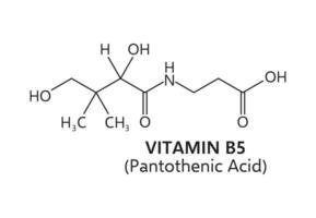 vitamine b5, ou pantothénique acide chimique formule vecteur