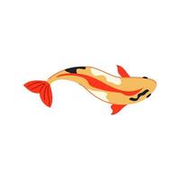 Japon koi poisson carpe dessin animé vecteur illustration