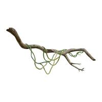 tropical arbre branche avec liane vigne les plantes aquarelle vecteur illustration pour réaliste et détaillé jungle dessins