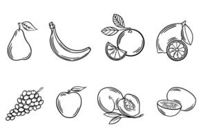 noir contour fruit. ensemble de vecteur illustrations. en bonne santé nourriture, végétalien, végétarien, fruit autocollants. ligne art