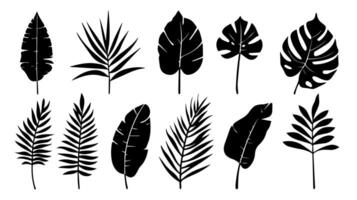 ensemble de noir silhouettes de feuilles et fleurs. vecteur illustration.