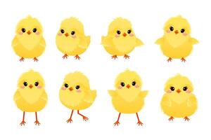 collection de mignonne dessin animé poulets. Jaune marrant Pâques poulets. printemps la volaille bébés dans différent pose. vecteur illustration.