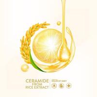 céramide de riz extrait sérum peau se soucier cosmétique vecteur