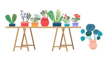 intérieur fleurs sur une en bois tableau. maison les plantes dans des pots pour le intérieur. lumière meubles. minimaliste style. vecteur