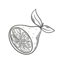 moitié citron main gravé vecteur illustration
