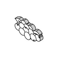 bouquet de myrtilles feuille isométrique icône vecteur illustration
