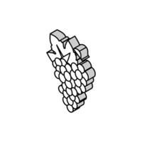 bleu les raisins bouquet isométrique icône vecteur illustration