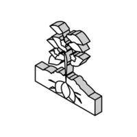 plante sucré Patate isométrique icône vecteur illustration