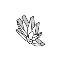Naturel aloès Vera isométrique icône vecteur illustration