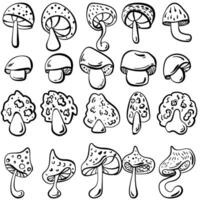 contour ensemble de champignons dans griffonnage style, fantaisie chapeau champignon pour conception vecteur