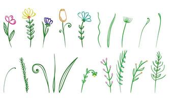 ensemble de griffonnage fleurs et végétaux, Facile linéaire plante motifs pour conception vecteur