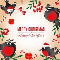 salutation carte postale. content Nouveau année et joyeux Noël avec mignon, marrant famille de bouvreuils. vecteur