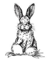 vecteur dessin dans esquisser style. ancien Pâques lapin avec des œufs et fleurs. noir et blanc illustration