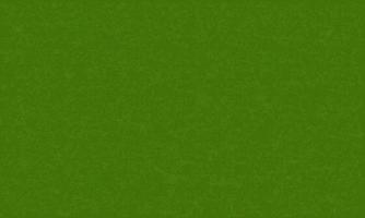 texture d'herbe verte pour le fond. vecteur. vecteur