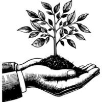 fermer mains en portant noir ligne arbre germer croissance de sol sur mains. Terre planète protection concept journée vecteur