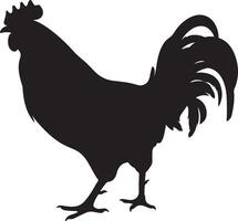 poulet silhouette vecteur illustration blanc Contexte