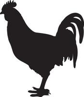 poulet silhouette vecteur illustration blanc Contexte