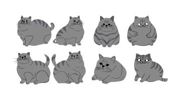 collection de vecteur des illustrations de mignonne graisse chats