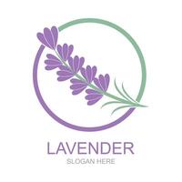 lavande logo modèle vecteur symbole nature