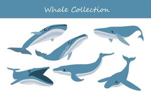 baleine vecteur illustration ensemble. mignonne dessin animé baleine dans différent pose.