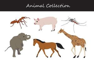 animal collection. dessin animé style. vecteur illustration isolé sur blanc Contexte.