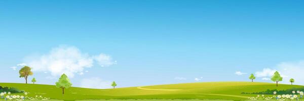 printemps Contexte avec ciel, nuage, herbe champ, fleur sur colline et forêt arbre dans village, vecteur dessin animé été paysage paisible rural la nature dans le parc, panoramique bannière pour Pâques