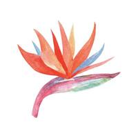 tropical aquarelle fleur. magnifique main tiré illustration vecteur