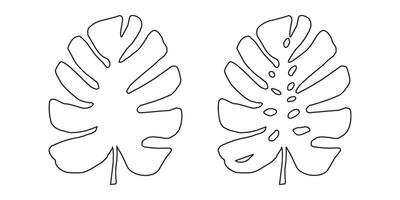 noir et blanc silhouettes de tropical feuille, monstère. vecteur botanique illustrations, floral éléments. main tiré plante pour décoration.