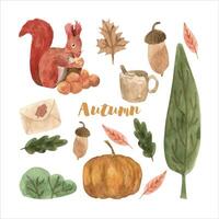 mignonne l'automne aquarelle ensemble avec feuilles, champignons, citrouille et écureuil. saisonnier conception pour imprimer, décoration. isolé et haute résolution. vecteur