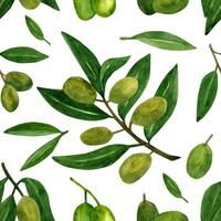 Olives sans couture modèle avec olive branches et des fruits pour italien cuisine conception ou nourriture avec pétrole vecteur