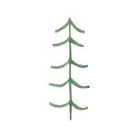 main tiré aquarelle sapin arbre forêt clipart vecteur