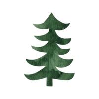 main tiré aquarelle sapin arbre forêt clipart vecteur